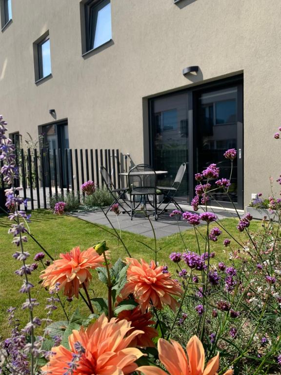 Zahrada ubytování Apartmán Astrid