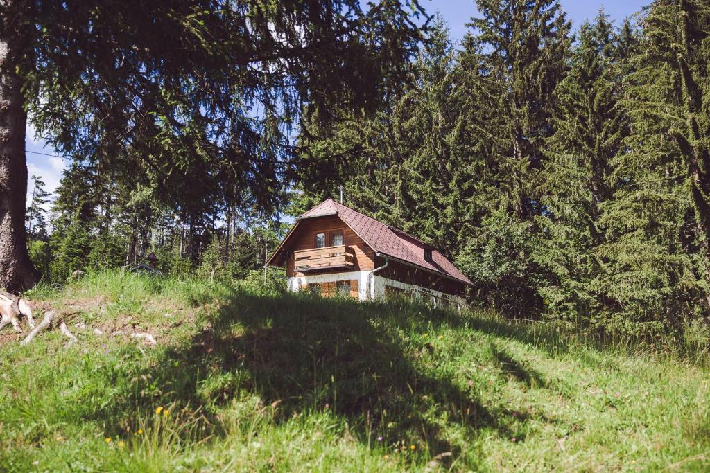 une petite maison sur une colline dans un champ dans l'établissement Moosbacher-Hütte, à Aichberg