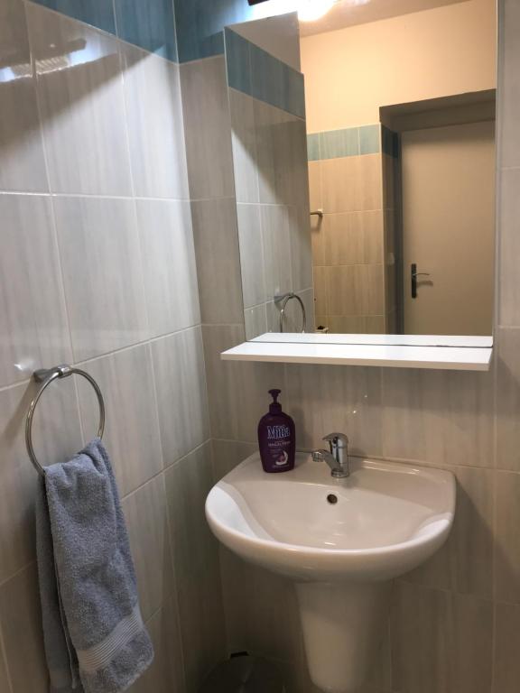 Koupelna v ubytování Apartment Corriger
