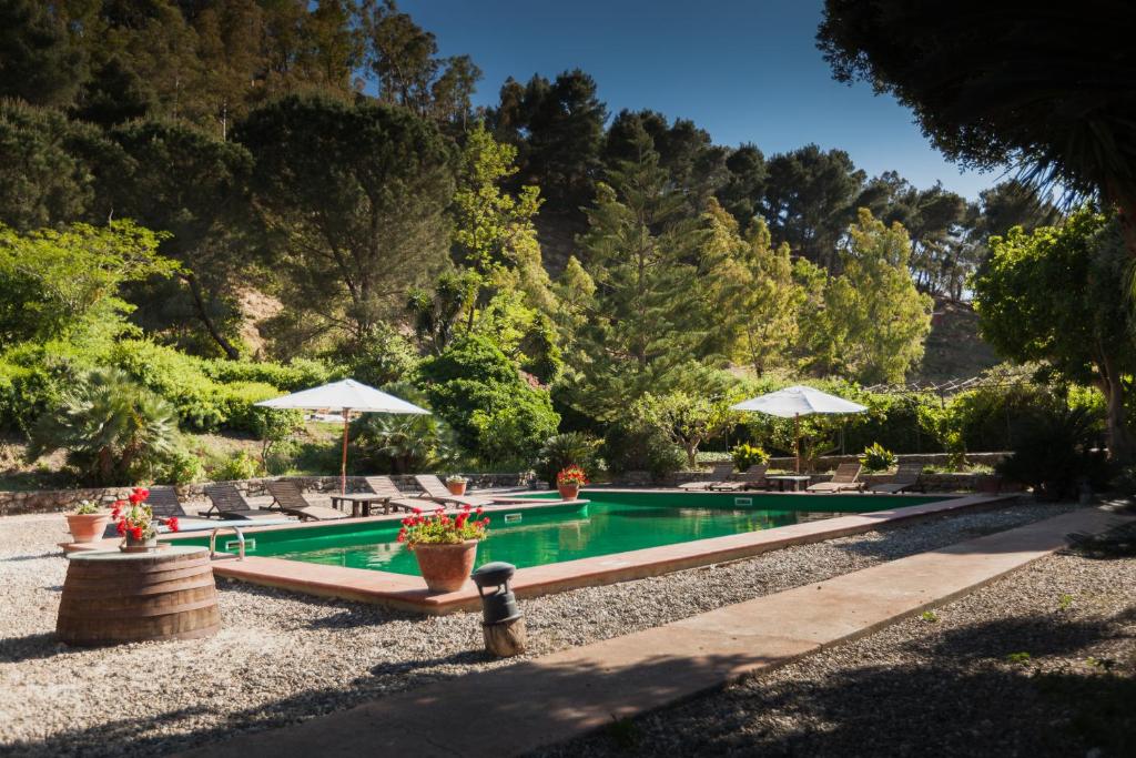 Πισίνα στο ή κοντά στο Masseria Pernice