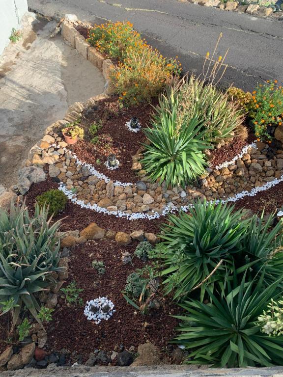 Zahrada ubytování La Casa del Barranco
