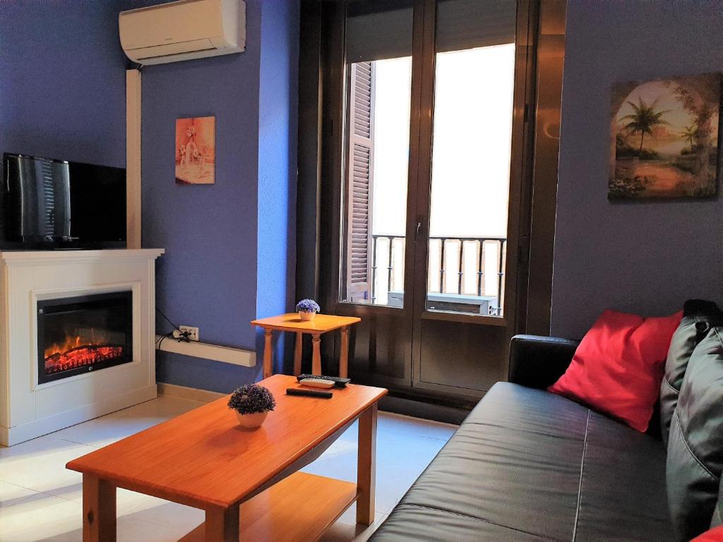 A television and/or entertainment centre at Apartamentos Dana Sol