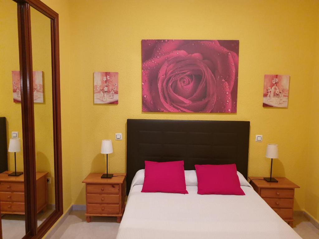 Apartamentos Dana Sol - 12