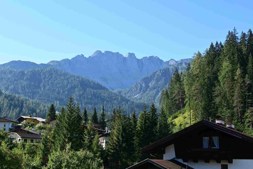 Příroda nedaleko apartmánu