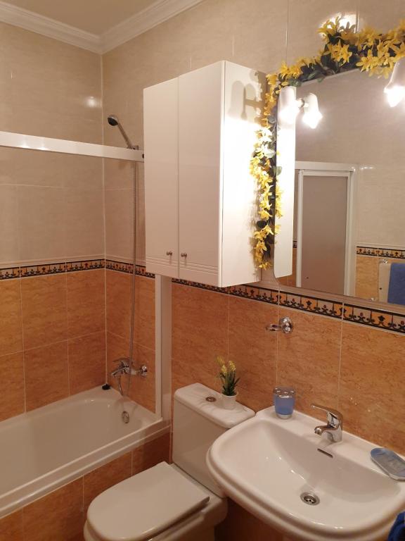 Apartamentos Dana Sol - 4