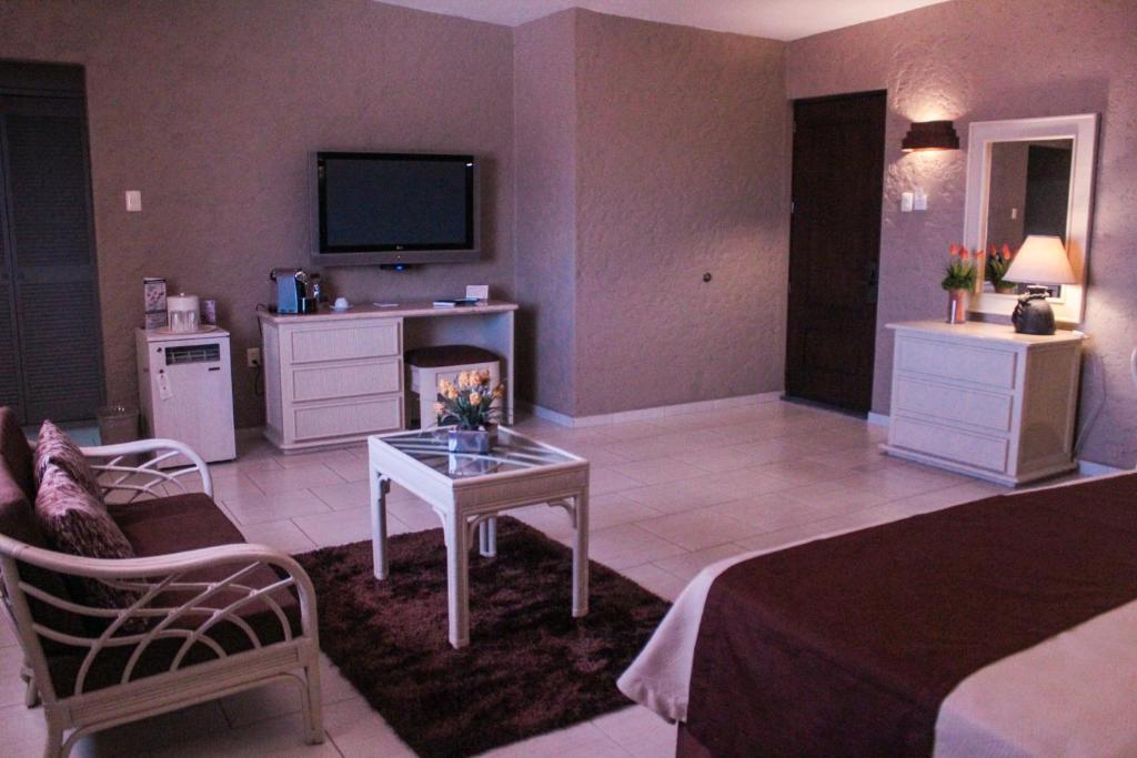 TV a/nebo společenská místnost v ubytování Hotel Layfer del Centro, Córdoba, Ver