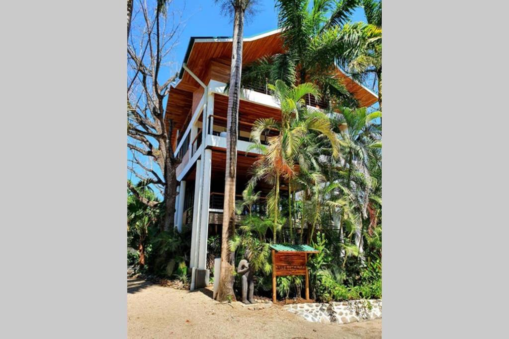 una casa en la playa con palmeras en Entire Nosara Tree House, en Nosara