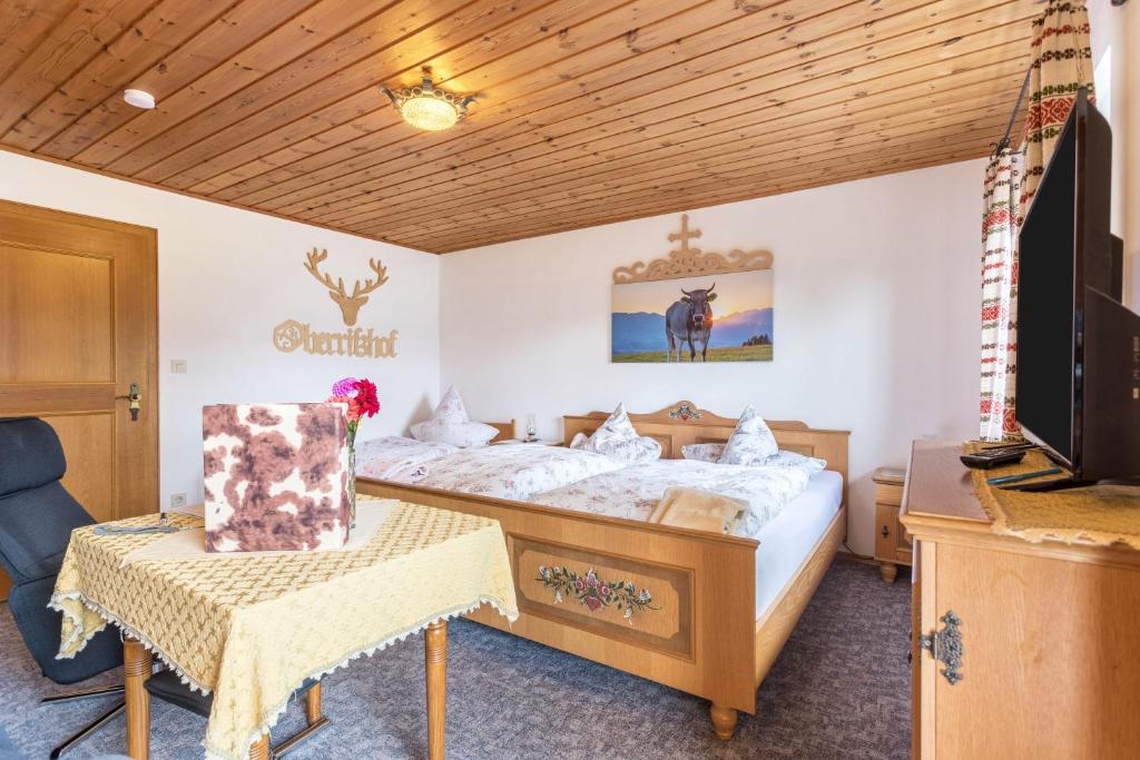 Schlafzimmer mit einem Bett, einem TV und einem Stuhl in der Unterkunft Ferienwohnung Oberrißtraum in Schliersee