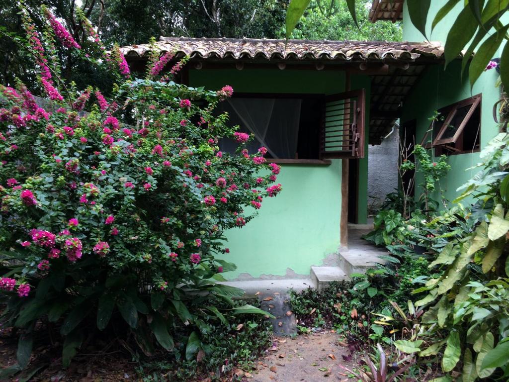  Atlantic forest suite