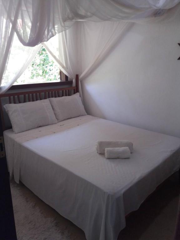  Atlantic forest suite