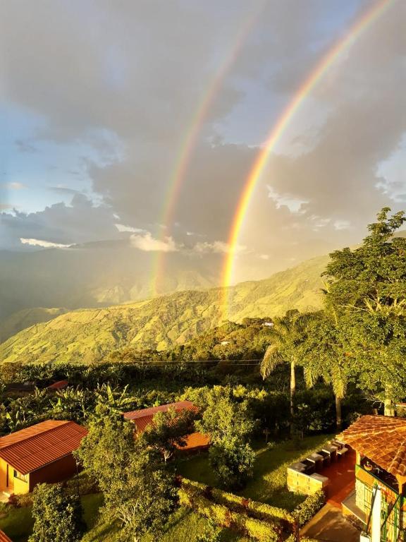 Paraíso Tropical