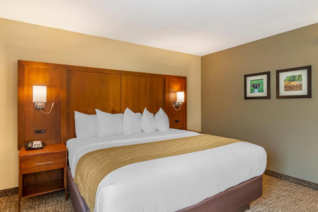 Comfort Inn Petersburg Fort Lee Area - Zimmer Mit Kingsize-Bett – Nichtraucher