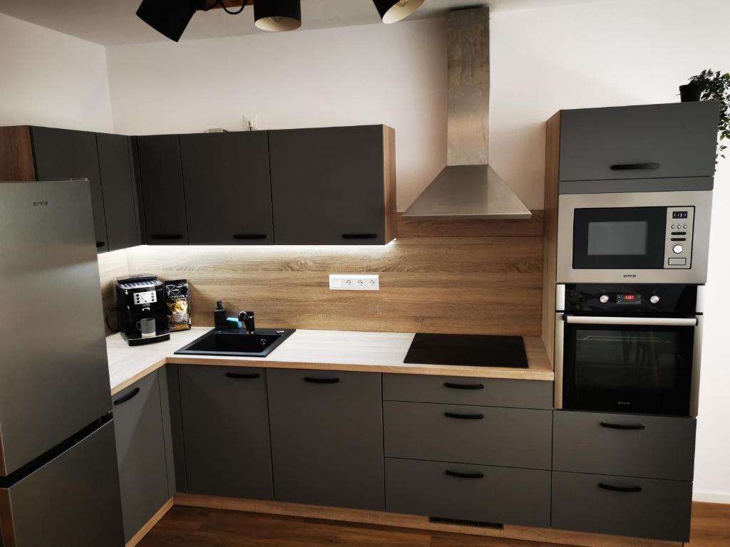 Kuchyň nebo kuchyňský kout v ubytování Apartmán Mlýnská Strouha