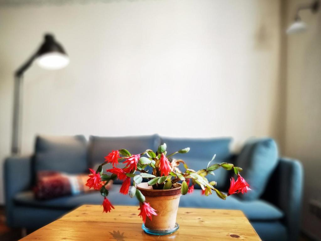 Weida的住宿－charmantes Apartment Siebenschläfer über Café 7，木桌上方的盆栽植物