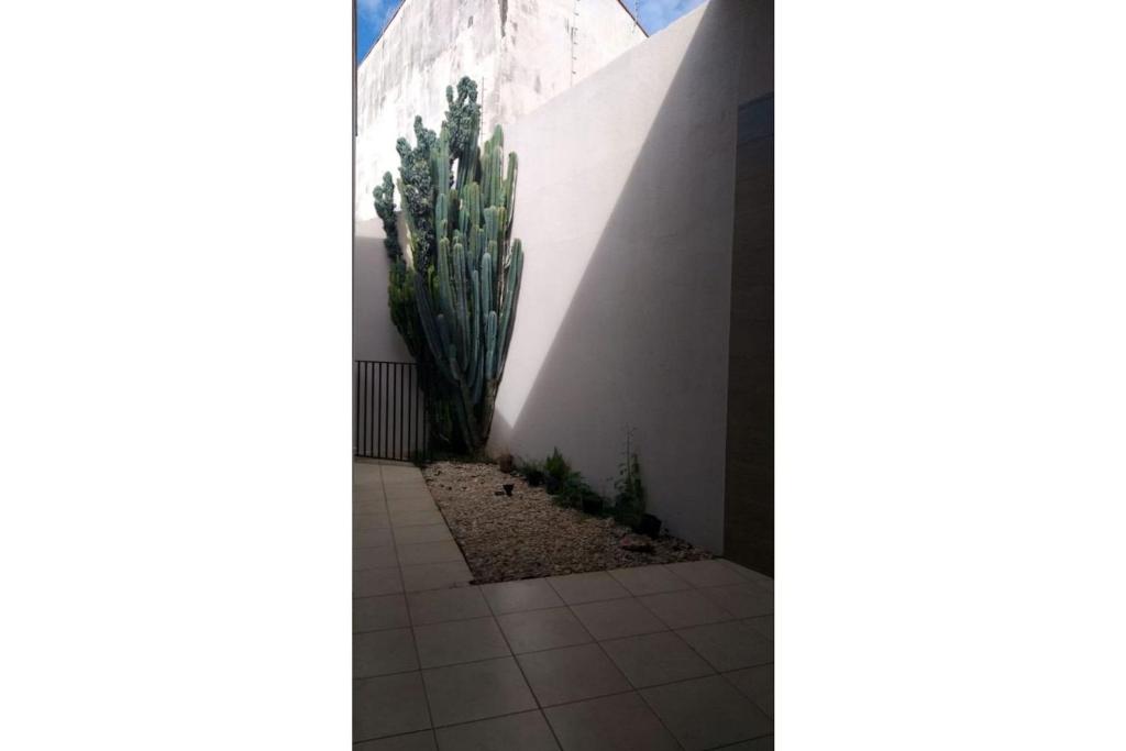  RESIDENCIA CIDADE VERDE 5