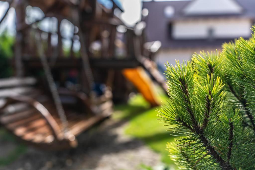 Vonkajšia záhrada v ubytovaní Dunajecki Dworek