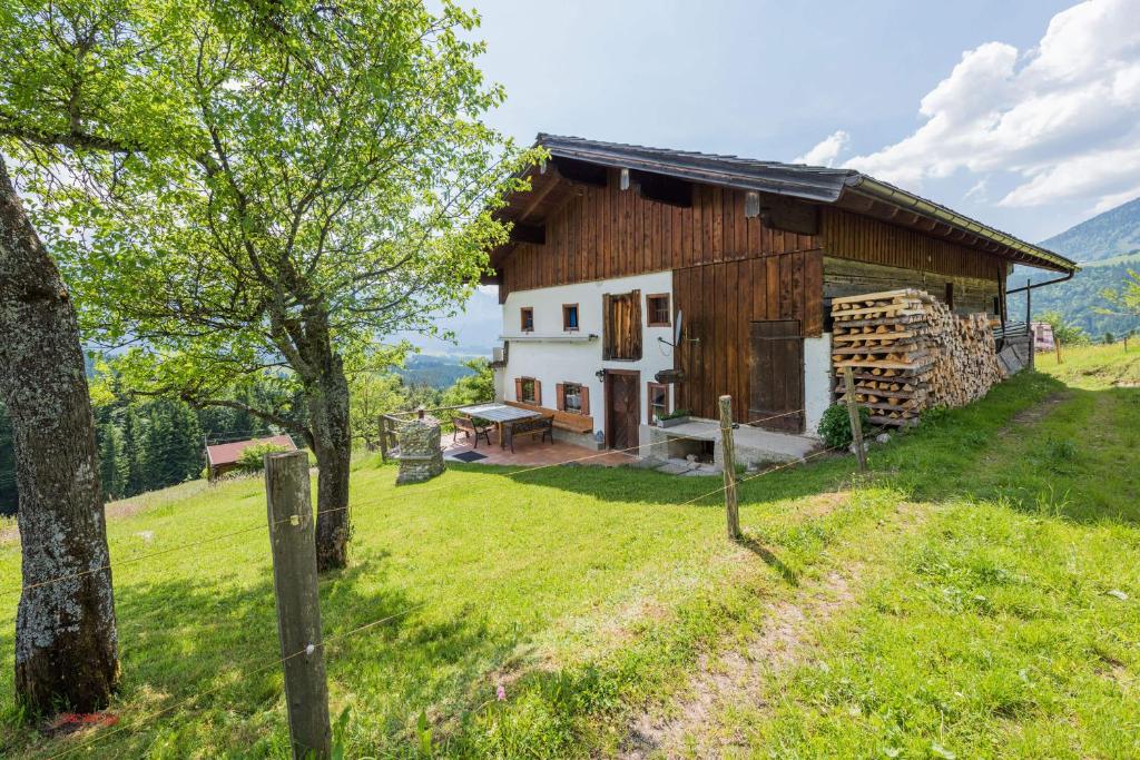 a barn on a hill with a grassy yard at Almliesl ABTE-395 in Abtenau