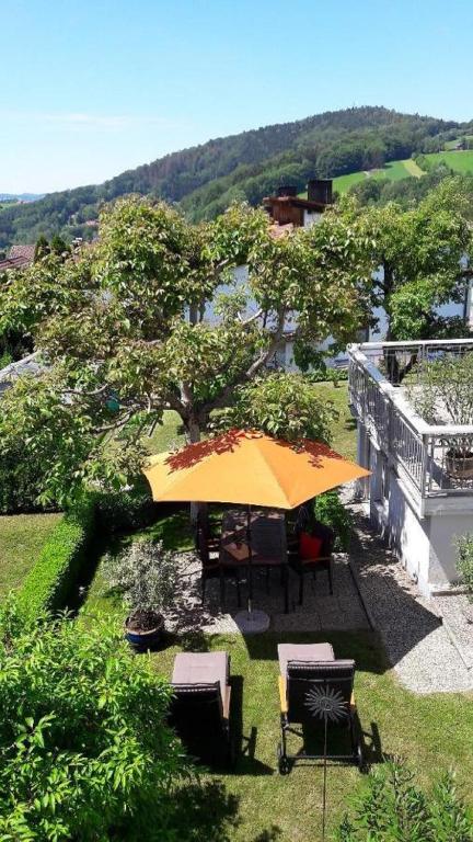 Příroda nedaleko apartmánu