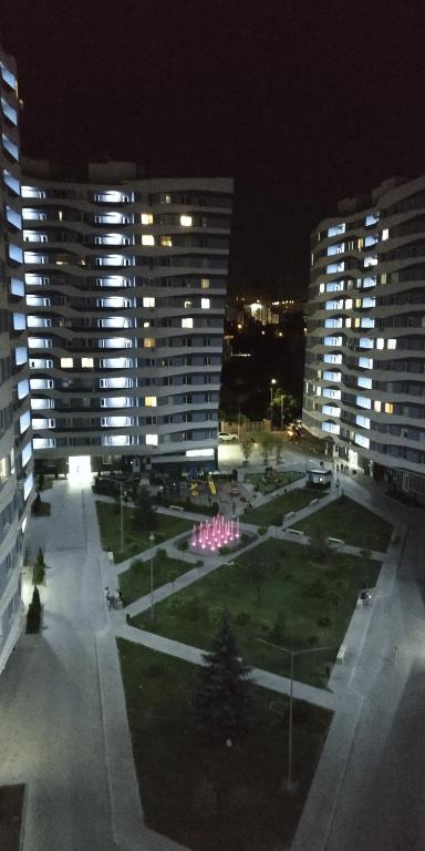 widok na park z dwoma wysokimi budynkami w obiekcie Апартаменты премиум класса у цирка w Kiszyniowie