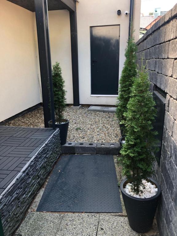 Zahrada ubytování Apartmán v centre Michaloviec