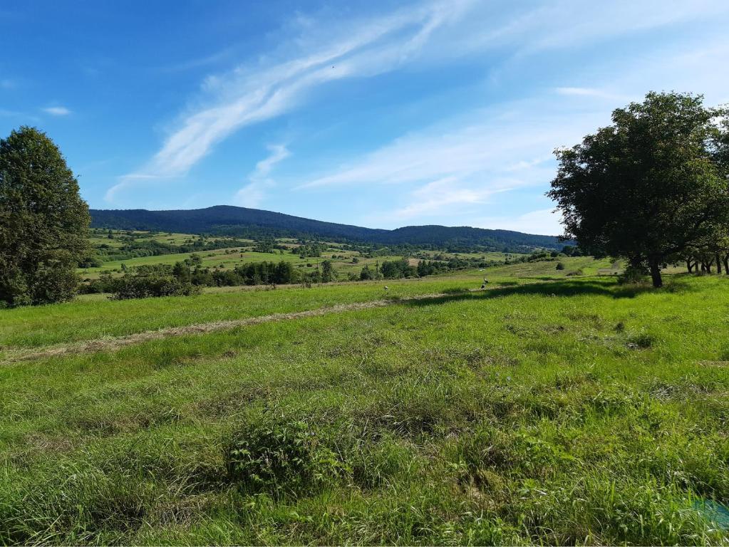 Beskidzki Klimat Jaśliska - Chalet Met Drie Slaapkamers