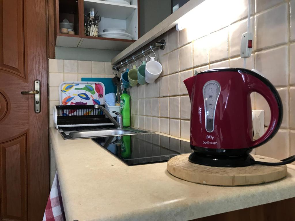 Kuchyňa alebo kuchynka v ubytovaní APARTAMENTY-STUDIO noclegi wczasy wakacje ferie - pobyty rodzinne
