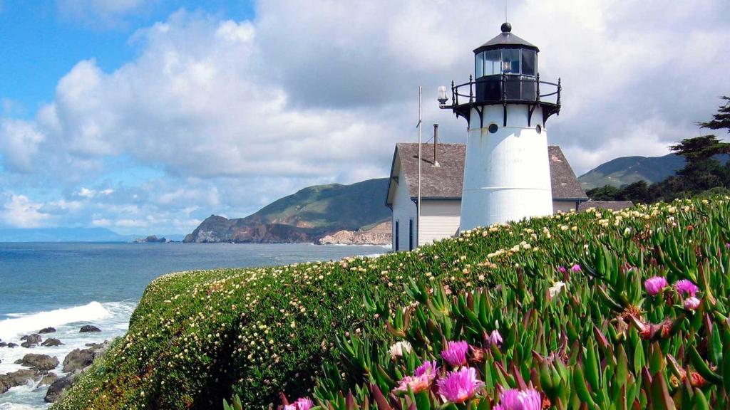 HI Point Montara Lighthouse في Montara: منور على تلة بجوار المحيط به ورد
