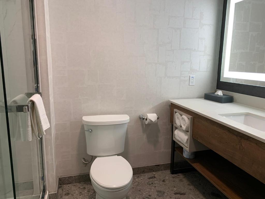 La Quinta Inn & Suites by Wyndham Santa Rosa Sonoma - Deluxe King Room - Non-fumeur