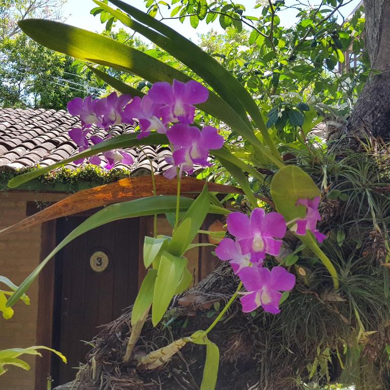  Pousada Bucaneiros