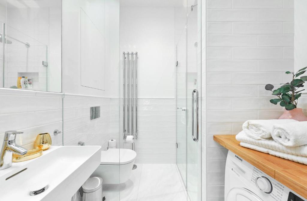 W łazience znajduje się prysznic, umywalka i toaleta. w obiekcie Palace Dlazdena Central Apartment - New Town w Pradze