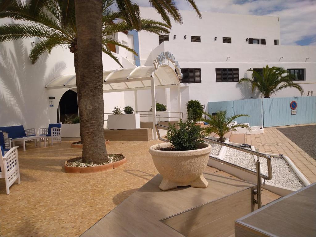 a courtyard with palm trees and a building at Hotel Roca Bella in Es Pujols