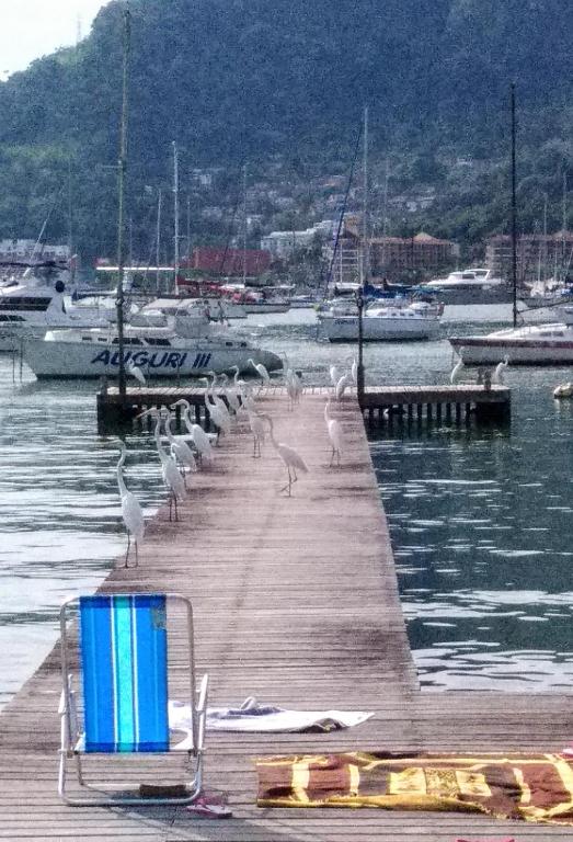  Porto de Luz - Casa beira mar Condomínio Marina
