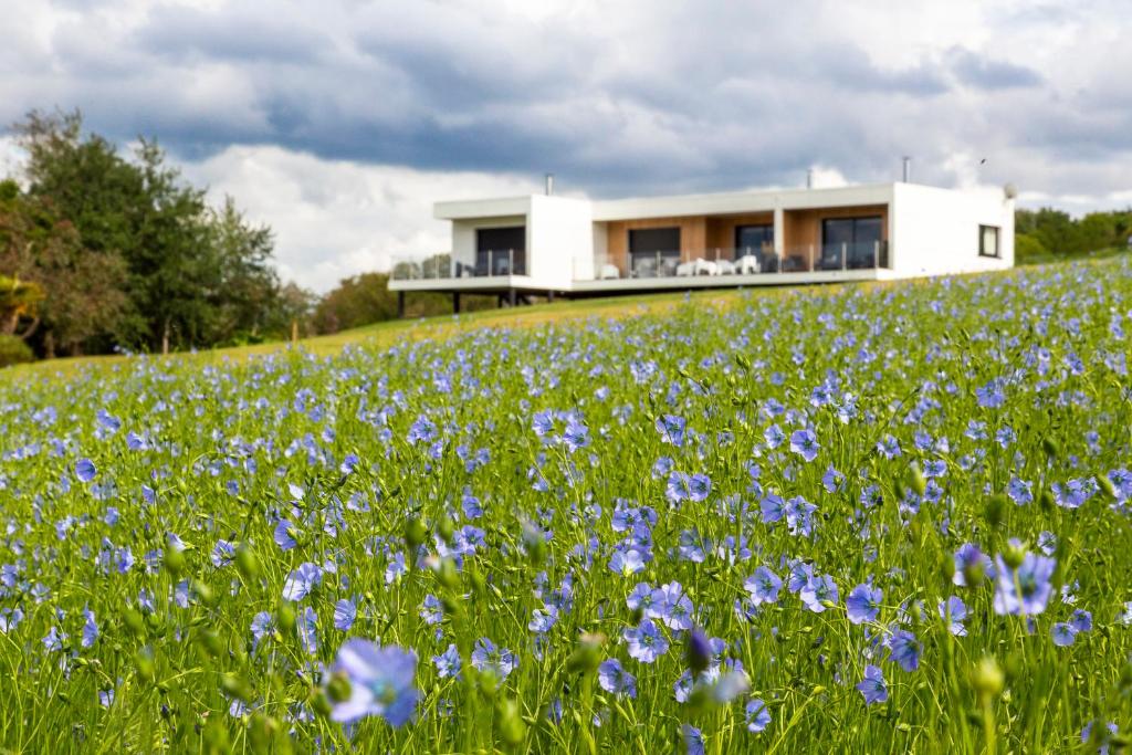 a house on a hill with a field of flowers at Les Gîtes du Cap Cod in Varengeville-sur-Mer