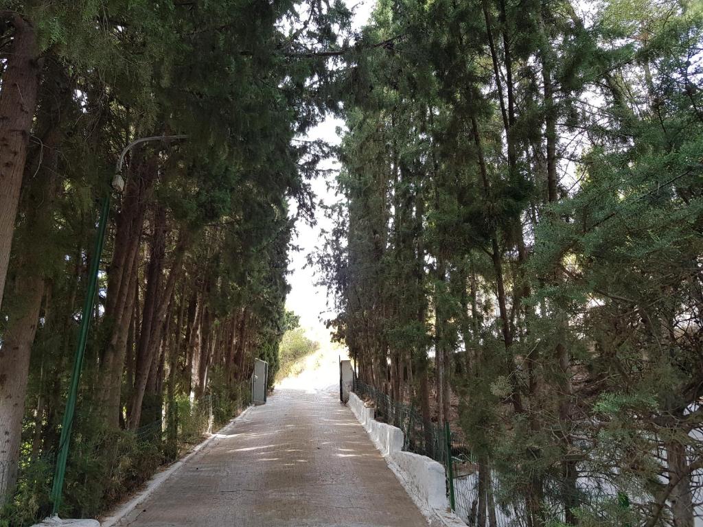 una carretera bordeada de árboles al lado de una carretera en CASA LA TORRECICA, en Cehegín