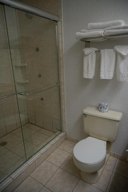 Baymont by Wyndham Shakopee - King Room With Pool View - Non-Smoking