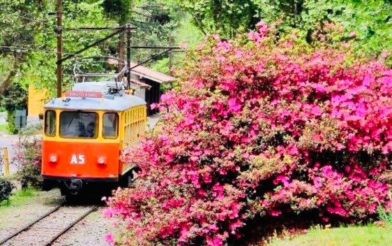  Campos do Jordão Suites