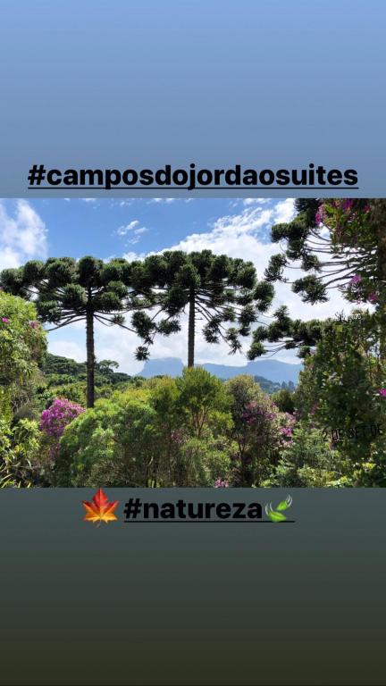  Campos do Jordão Suites