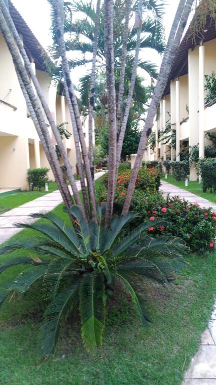  Solar de Pipa Duplex Elegance