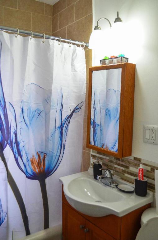 Cozy Studio near Wrigley field and Boystown - Appartement Met één Slaapkamer