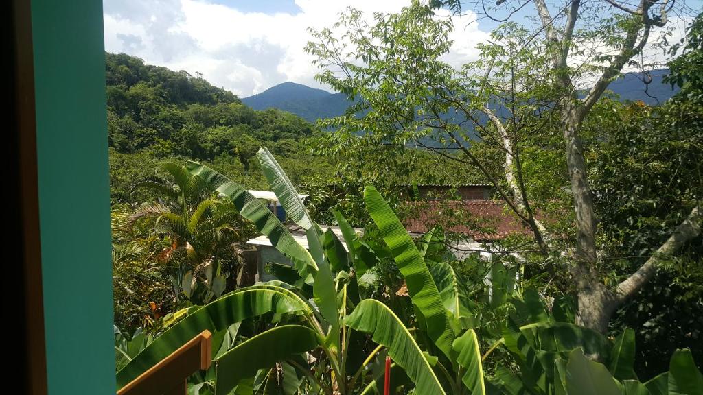  Chalés Vale do Itamambuca