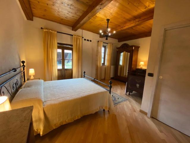 1 dormitorio con 1 cama grande y techo de madera en Bed and Breakfast La Volpe tra le Vigne, en Castelnuovo Don Bosco