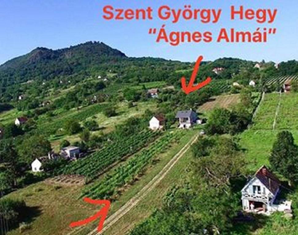 Kisapáti的住宿－Ágnes almái Ágnes apples，两只红箭在草地山丘上的房子