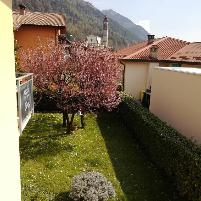 Výhľad na hory alebo výhľad na hory priamo z of the bed and breakfast