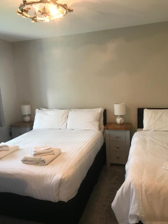 dos camas sentadas una al lado de la otra en un dormitorio en Haul y Bore en Aberystwyth