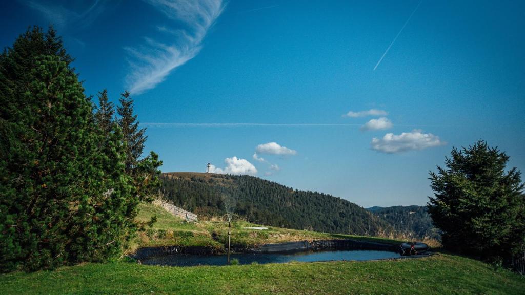 Příroda nedaleko penzionu – hostince