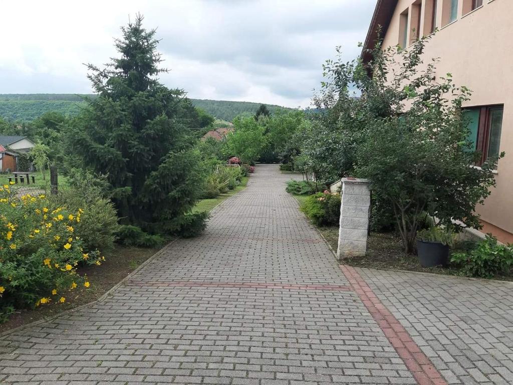 Zahrada ubytování Bianka Apartmanház