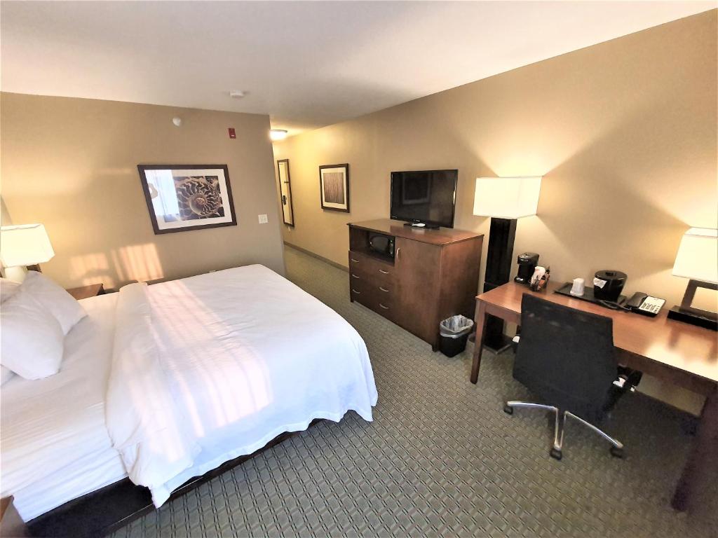 AmeriVu Inn and Suites - Chisago City - King Room