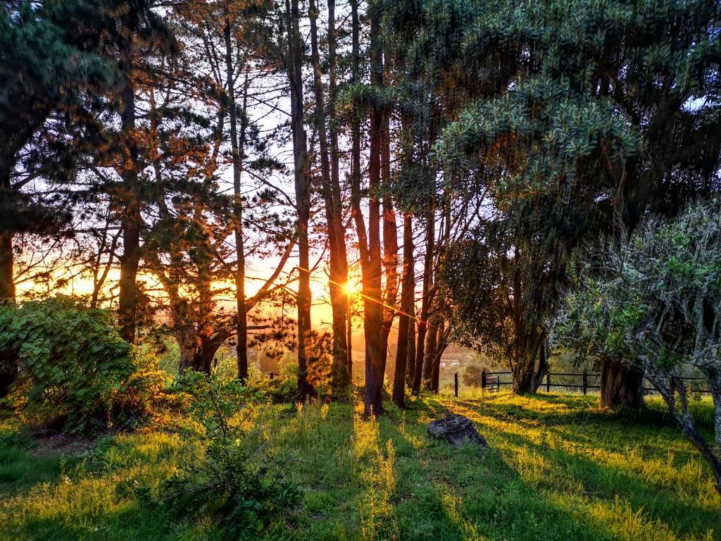 Východ nebo západ slunce při pohledu z luxury tent nebo okolí
