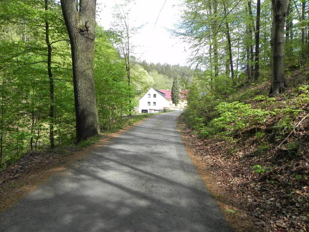 a road leading to a white house in the woods at Ferienhaus Buschmuehle - Stolpen in Stolpen