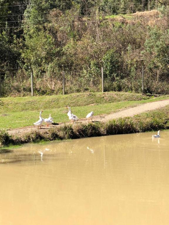  Sitio do Opa